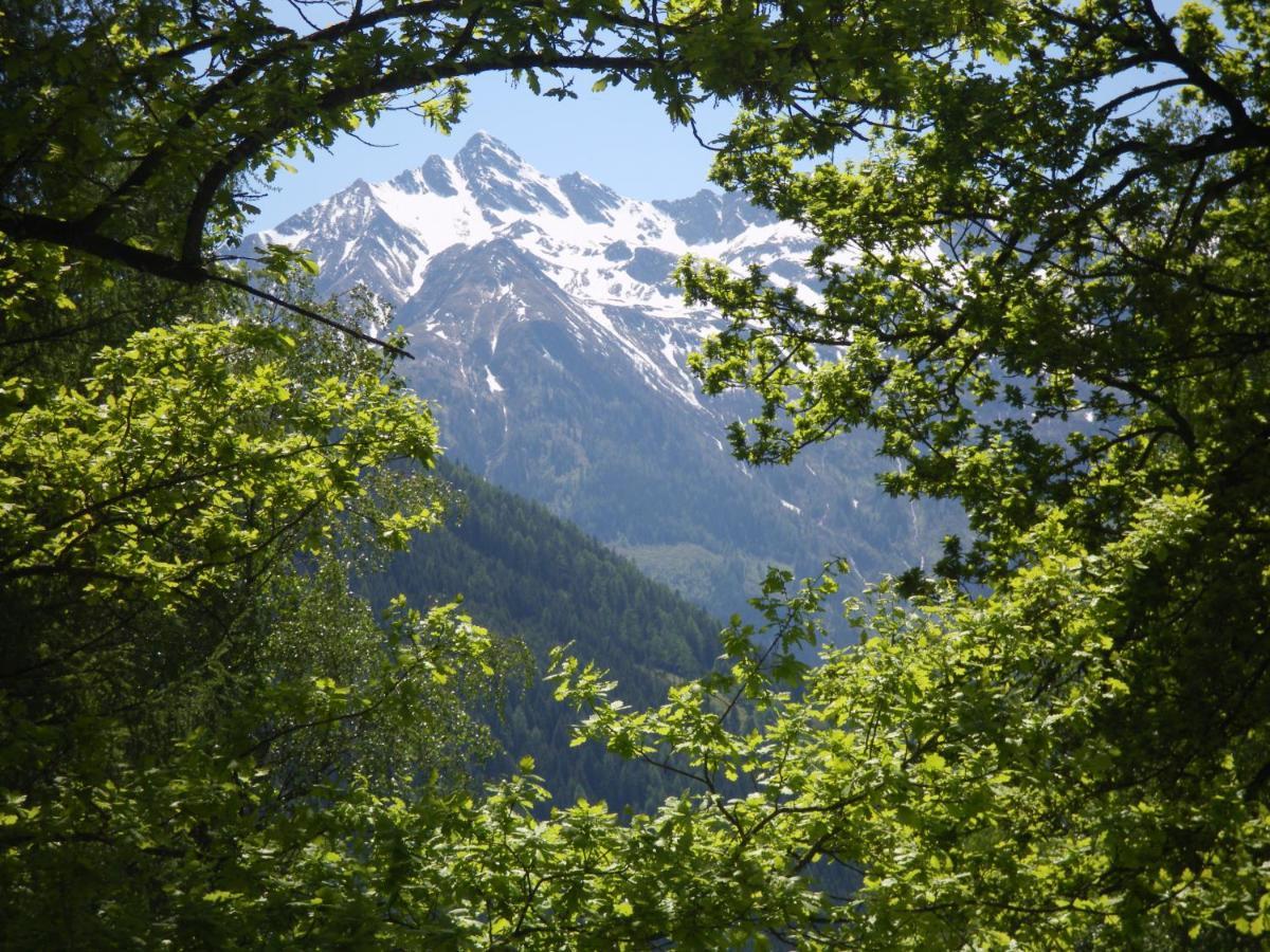 Appart Burgwies Ink Nationalpark Sommercard Штульфельден Экстерьер фото